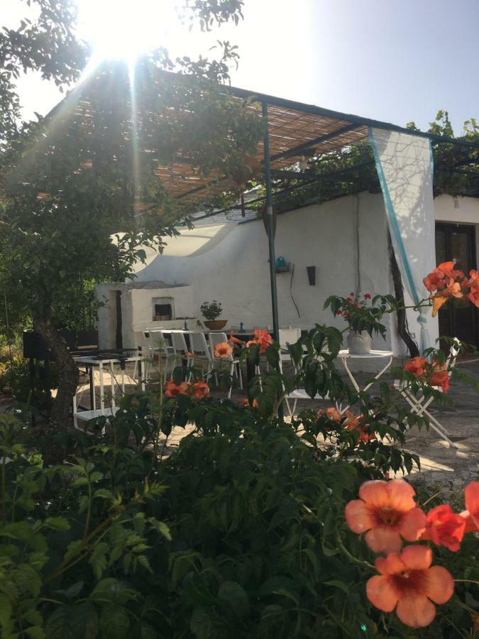 trullo Giardino Sotto La Luna Ceglie Messapica Esterno foto